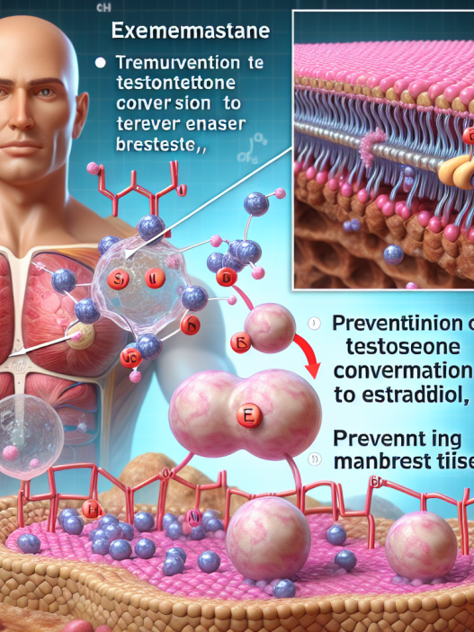 Wie Exemestan hilft, gynäkomastie vorzubeugen